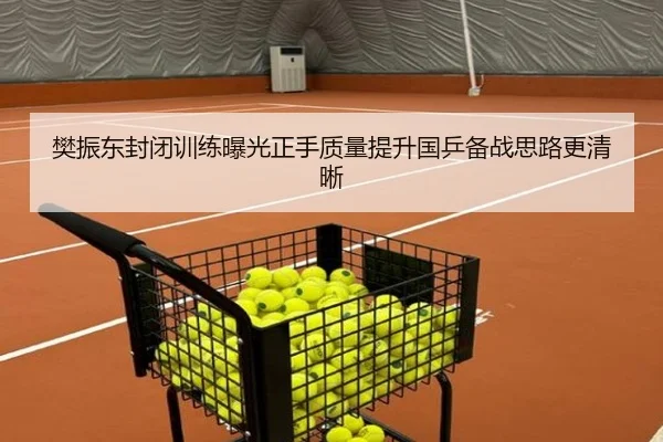 樊振东封闭训练曝光正手质量提升国乒备战思路更清晰 | SABASports